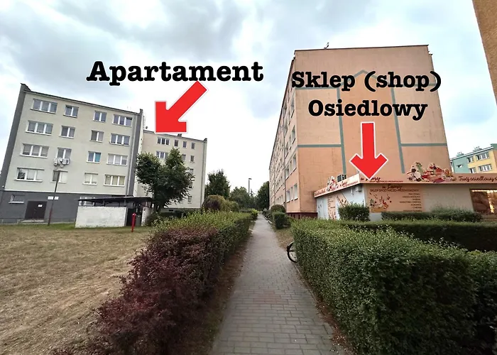 Kawalerka Zatorze Nie Wystawiam Fv